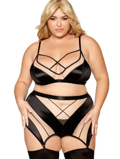 Dreamgirl Sheer Bra & Garter Set