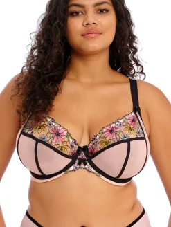 Elomi Carrie Plunge Bra