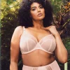 Elomi Matilda Plunge Bra