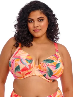 Elomi Sancho Beach Plunge Bikini Top