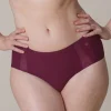 Evelyn & Bobbie Mesh Retro Bikini