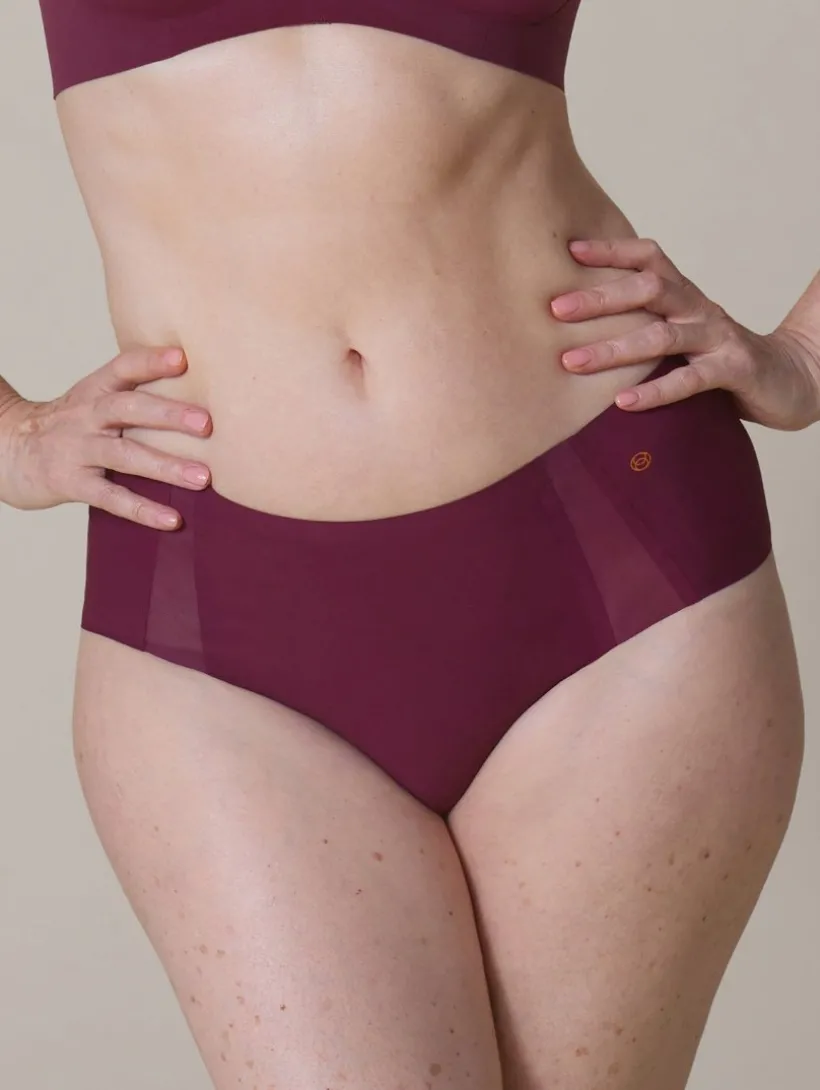 Evelyn & Bobbie Mesh Retro Bikini