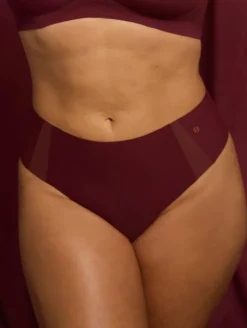 Evelyn & Bobbie Mesh Retro Bikini